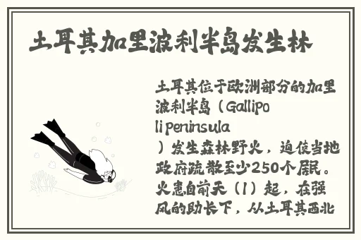 四川男子当街**掏肠